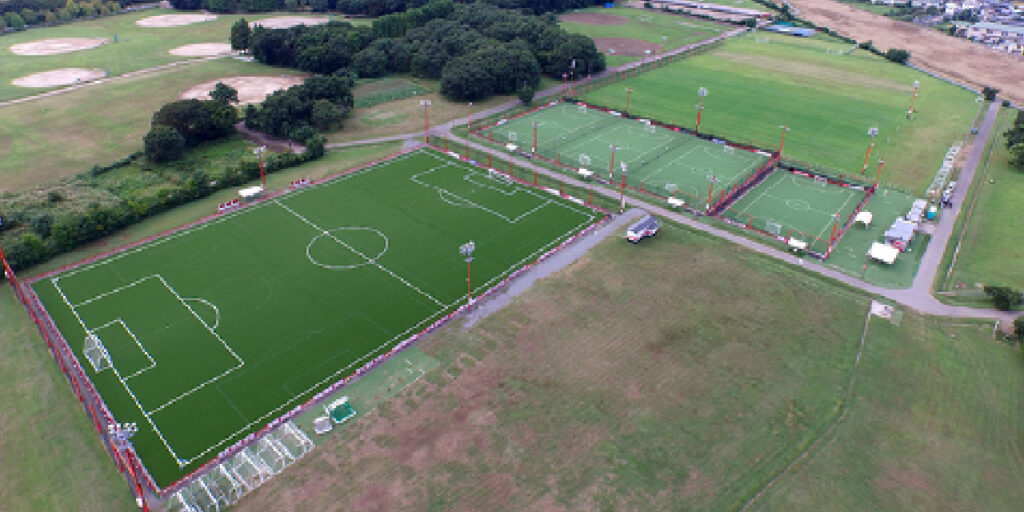 ハイブリッド芝