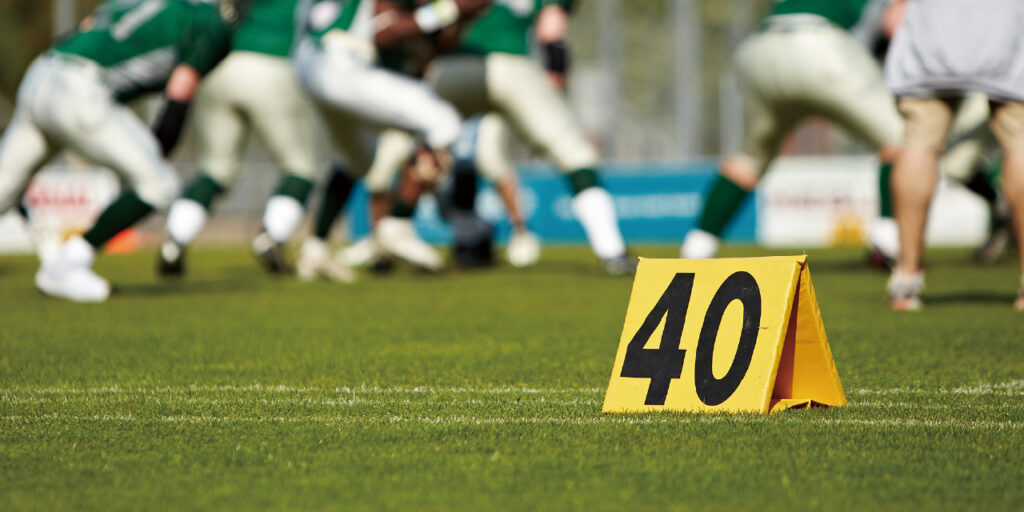 多目的の人工芝