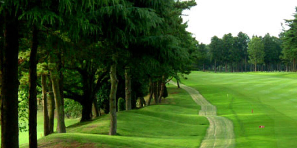 ゴルフのための人工芝