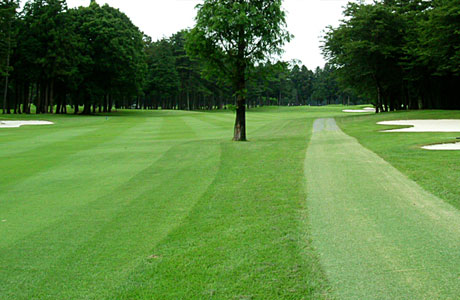 Astroカートミチ_04