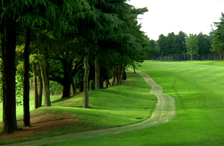 Astroカートミチ_05