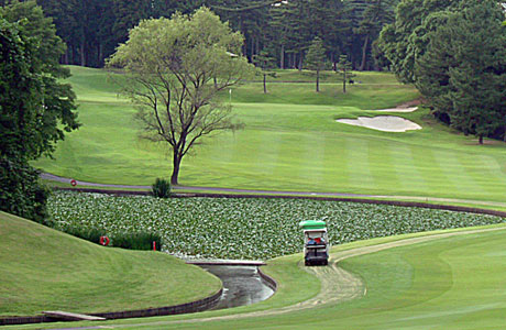 Astroカートミチ_08