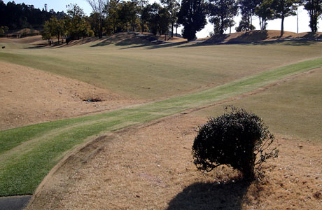 Astroカートミチ_09