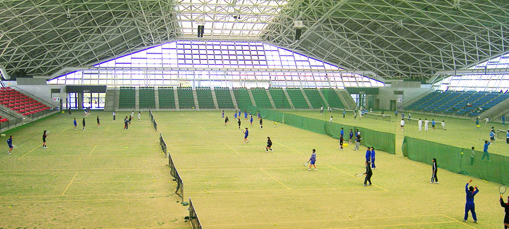 ダイヤモンドターフ™ D920