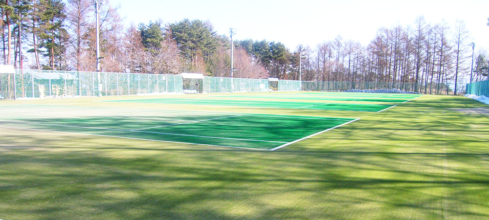 ダイヤモンドターフ™ D920