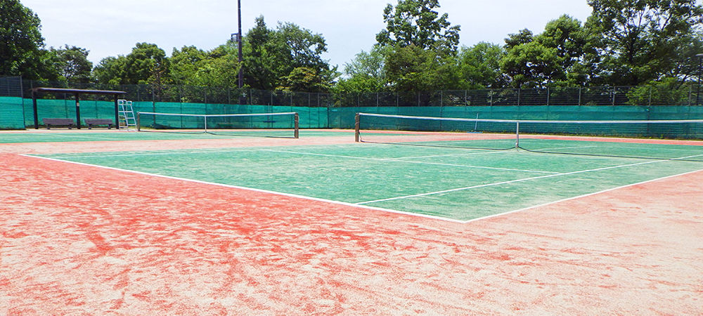 ダイヤモンドターフ™ D720