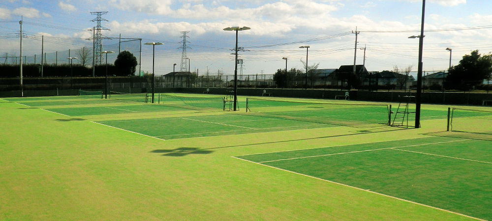 ダイヤモンドターフ™ D720