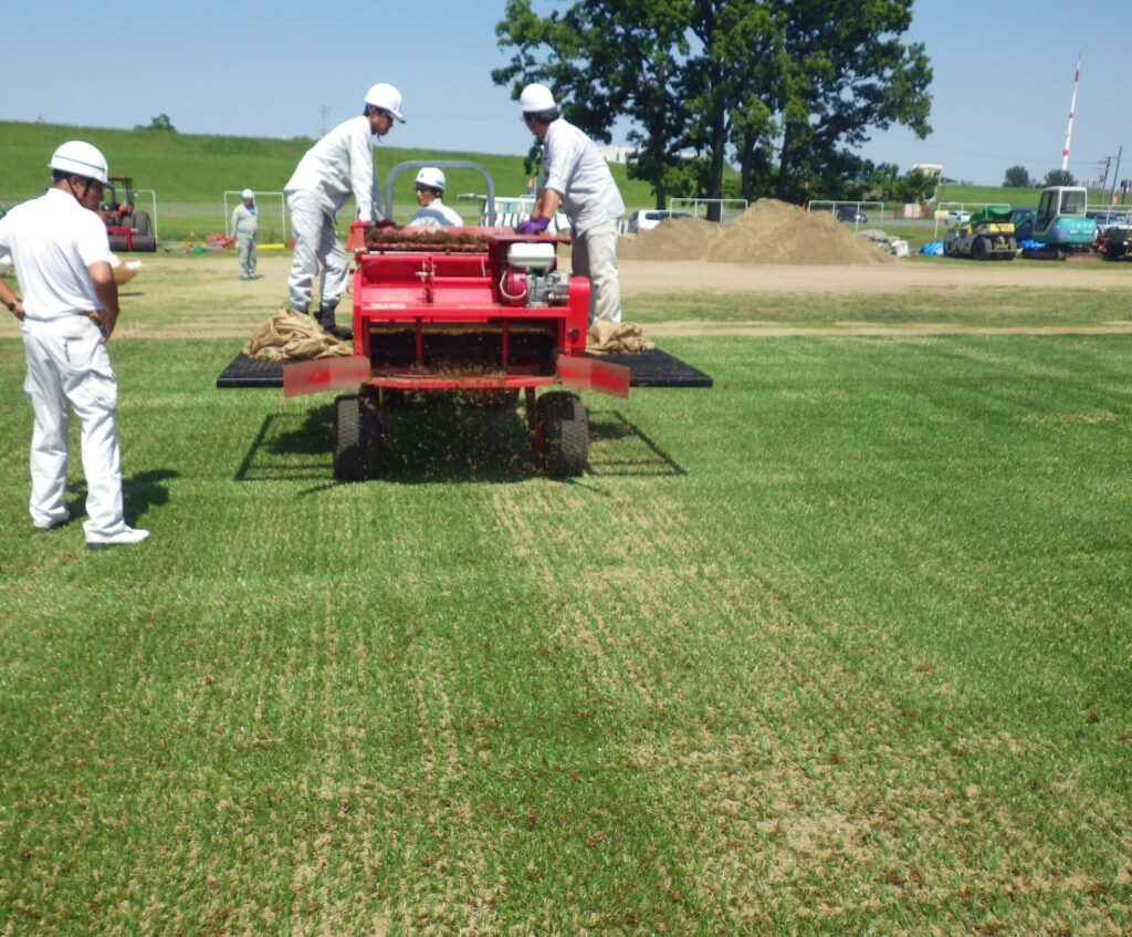 施工手順・天然芝撒き苗
