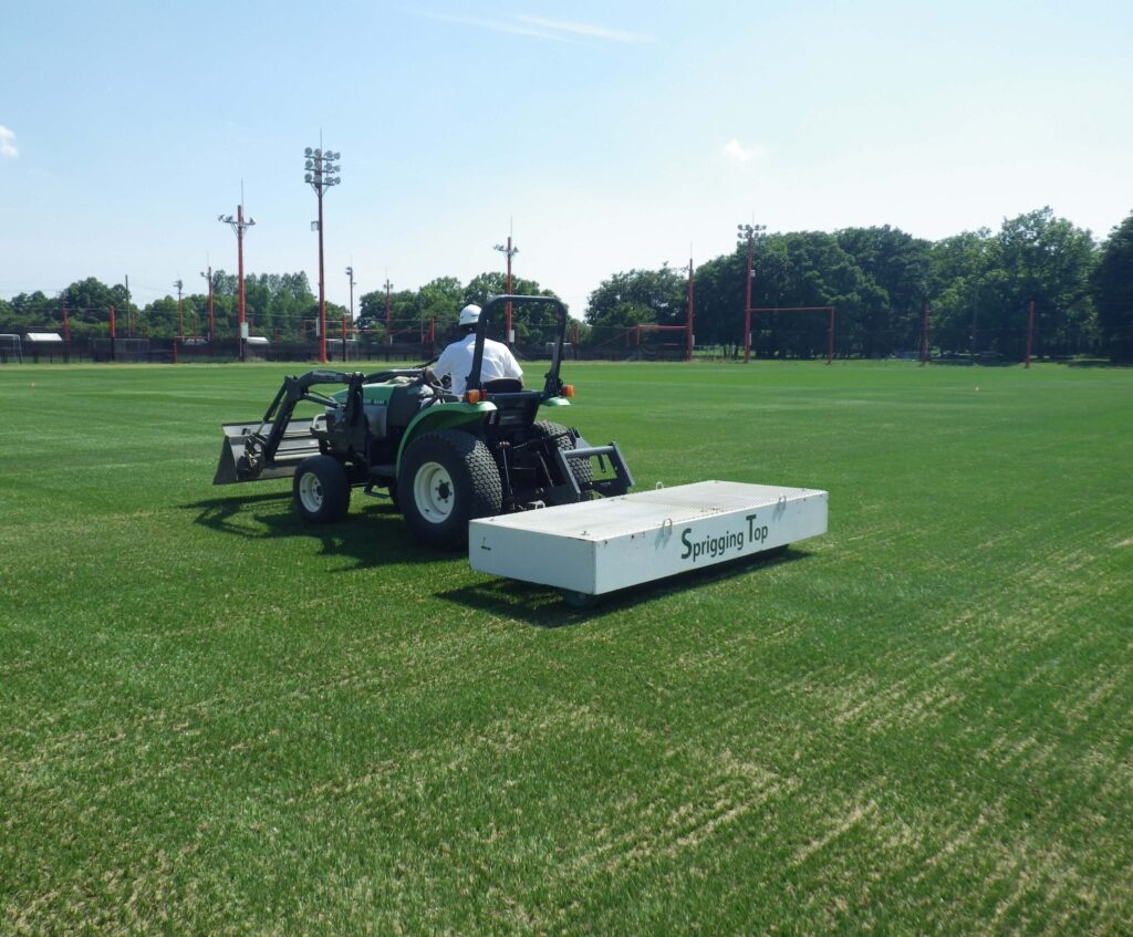 施工手順・撒き苗摺り込み（初期生育）